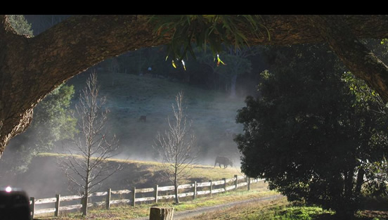 Yarramalong Valley Scarecrows